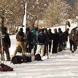 Foto Palmeiras na Neve