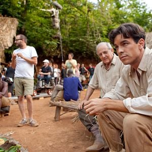 Foto Palmeiras na Neve