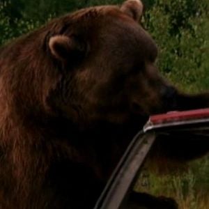 Foto Fúria Sangrenta