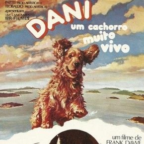 Foto Dani, um Cachorro Muito Vivo