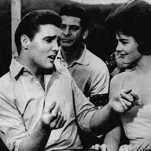 Foto Talhado para Campeão