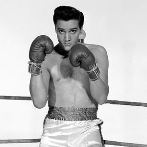 Foto Talhado para Campeão