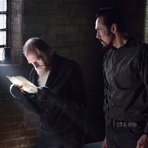 Foto David Bradley (IV)