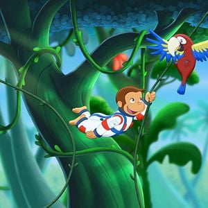 Foto George, o Curioso 3