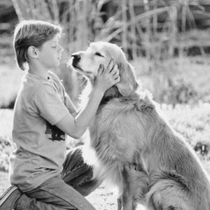 Foto A Incrível Jornada