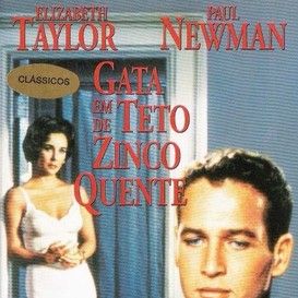 Foto Gata em Teto de Zinco Quente