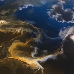 Foto Humano - Uma Viagem Pela Vida