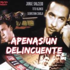 Foto Apenas un delincuente