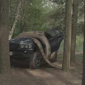 Foto Pânico no Lago: Projeto Anaconda