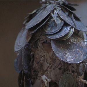 Foto O Céu Treme Enquanto a Terra tem Medo e os Olhos não são Irmãos