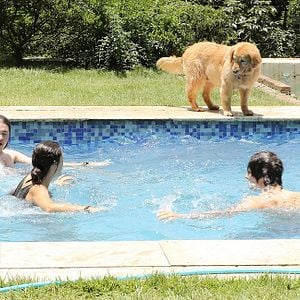 Foto Que Horas Ela Volta?