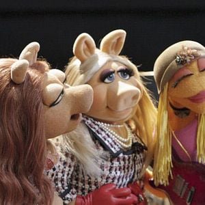 Foto Os Muppets