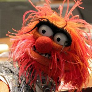Foto Os Muppets