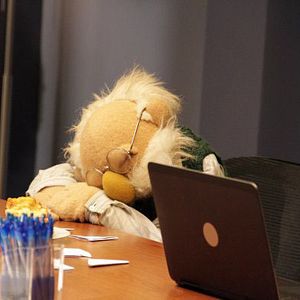 Foto Os Muppets