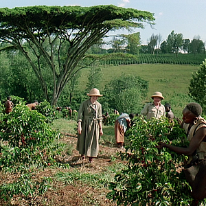 Foto Entre Dois Amores