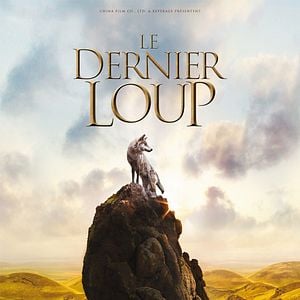 Foto Espírito de Lobo