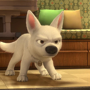 Foto Bolt - Supercão