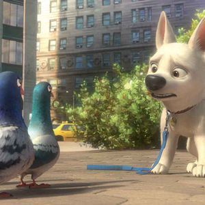 Foto Bolt - Supercão