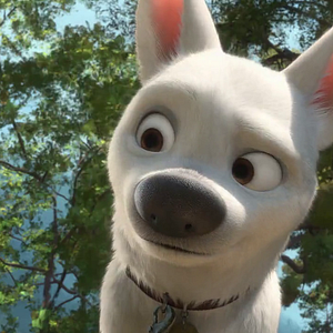 Foto Bolt - Supercão