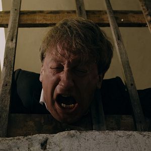 Foto O Cuco e o Burro