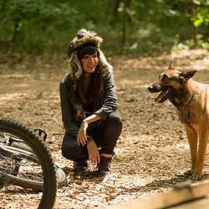 Foto Max - O Cão Herói