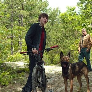 Foto Max - O Cão Herói