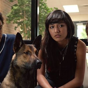 Foto Max - O Cão Herói