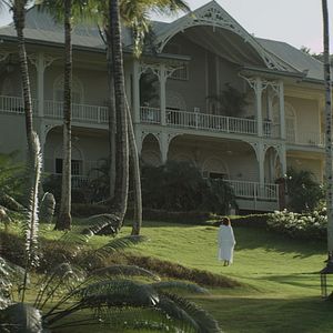 Foto Dólares de Areia