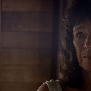 Foto Dólares de Areia