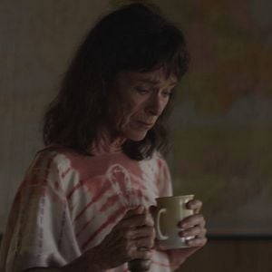 Foto Dólares de Areia