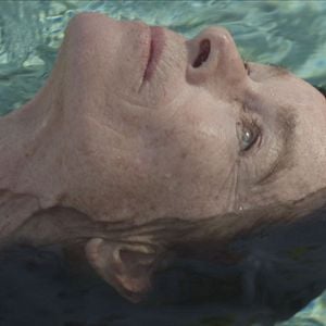 Foto Dólares de Areia