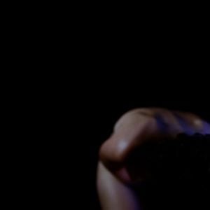 Foto O Animal Sonhado