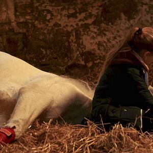 Foto A Lenda de Longwood