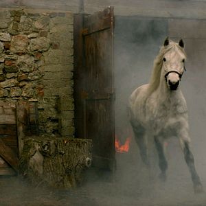 Foto A Lenda de Longwood