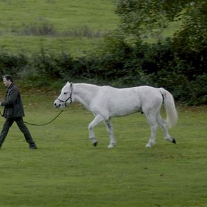 Foto A Lenda de Longwood