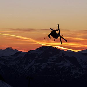 Foto The Search for Freedom