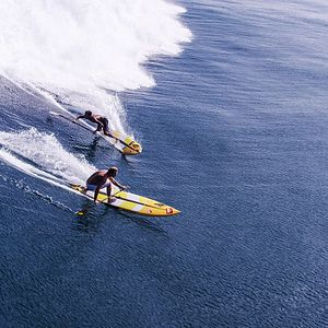 Foto The Search for Freedom