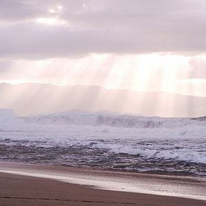 Foto The Search for Freedom