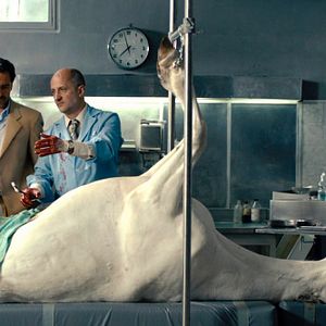 Foto Morte em Buenos Aires