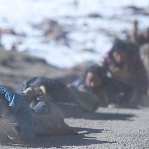 Foto Paths of the Soul