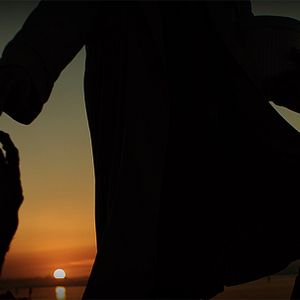 Foto Não Alimente seu Cão