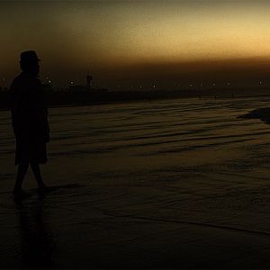 Foto Não Alimente seu Cão