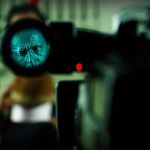 Foto Não Alimente seu Cão