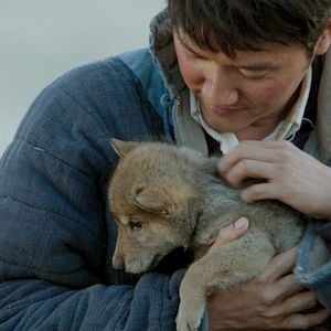 Foto Espírito de Lobo