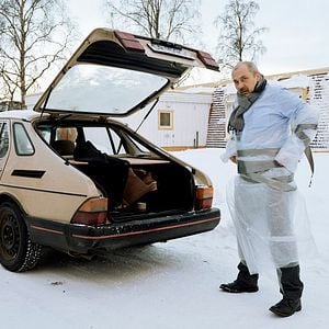 Foto Aqui Está Harold