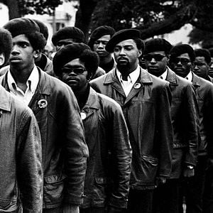 Foto Panteras Negras