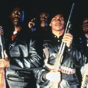 Foto Panteras Negras