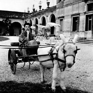 Foto Peggy Guggenheim - Paixão por Arte