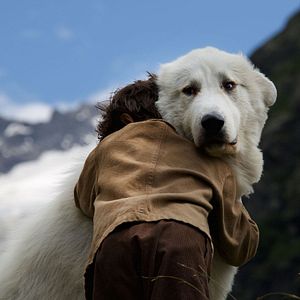 Foto Belle e Sebastian - A Aventura Continua