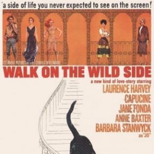 Foto Pelos Bairros do Vício